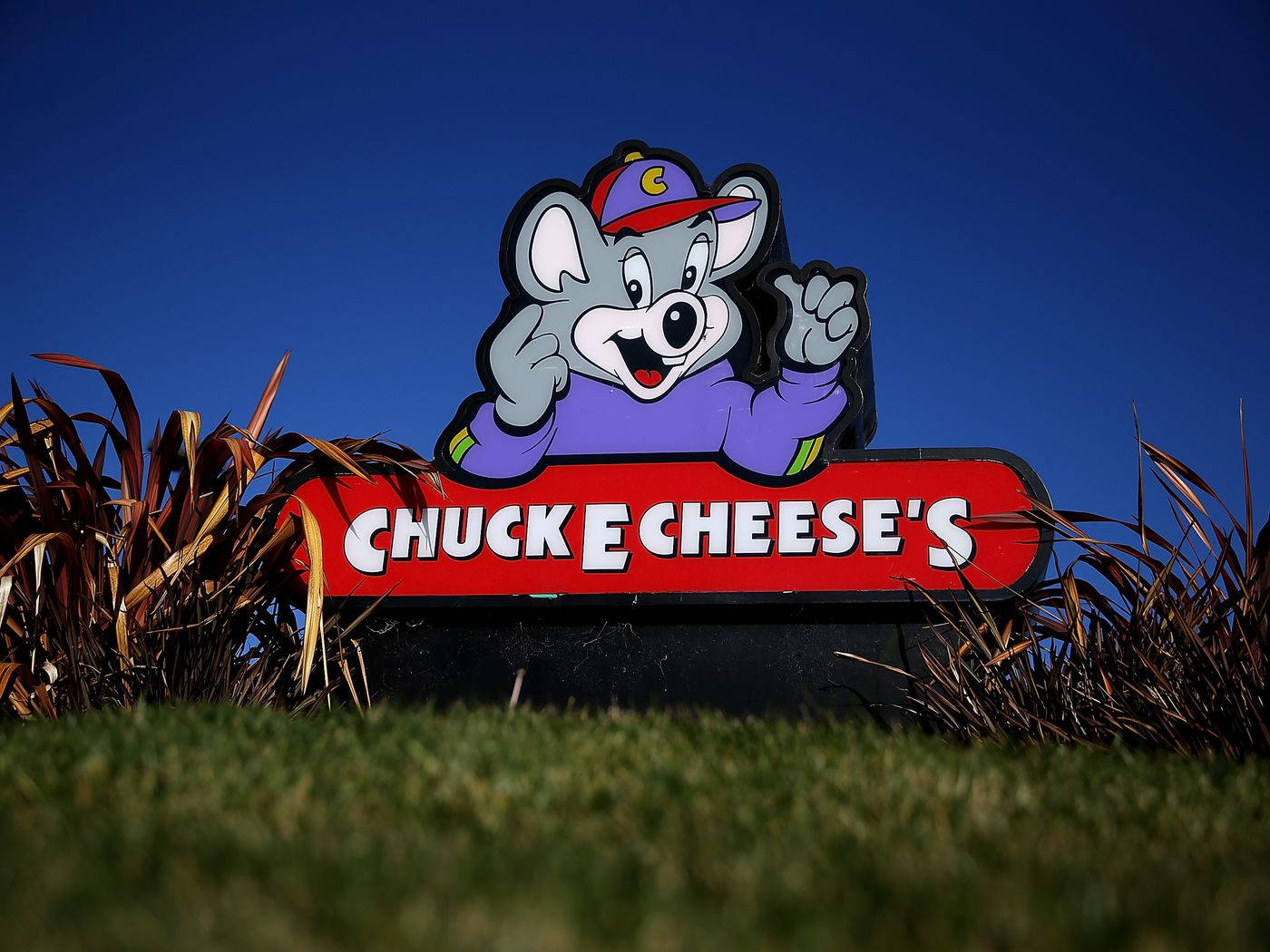 Wallpaper Cheese, Chuck E Cheese - QualityWood